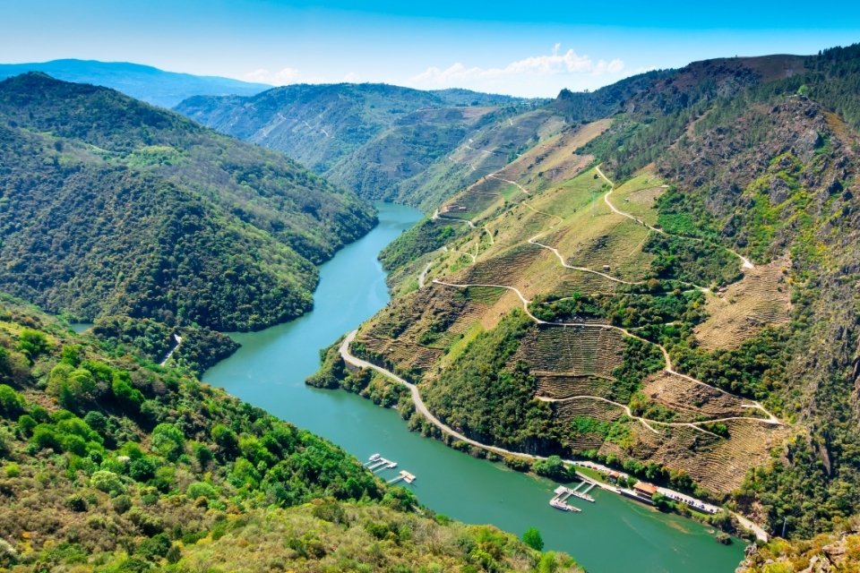 Wijngaarden in Ribeira Sacra, Spanje