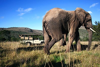 Inkwenkwezi Game Reserve Inkwenkwezi Game Reserve