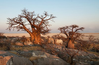 Makgadikgadi Pans Makgadikgadi Pans
