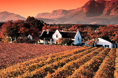 Fietsen door de wijnlanden