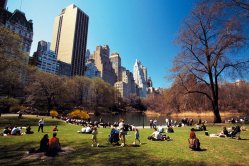 Central Park in New York Central Park in New York