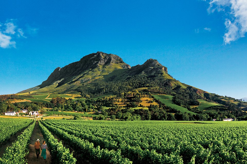 Kaaps wijnlandschap, Zuid-Afrika