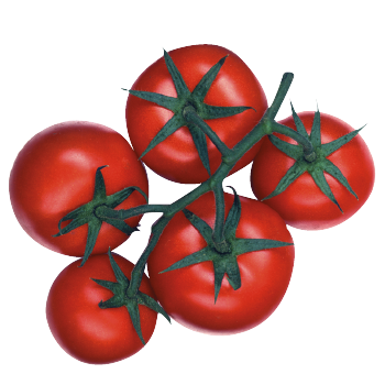 Italië