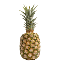 Costa Rica Costa Rica