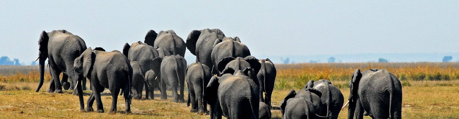 beste reistijd om naar botswana te gaan src reizen