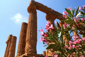 Agrigento op Sicilië, Italië Agrigento op Sicilië, Italië