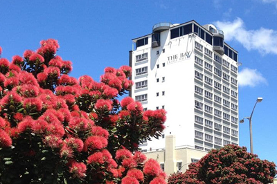 Bay Plaza Hotel in Wellington