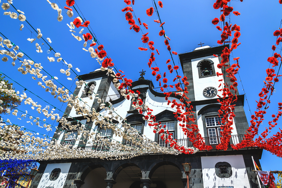 Bloemen in Funchal, Madeira, Portugal