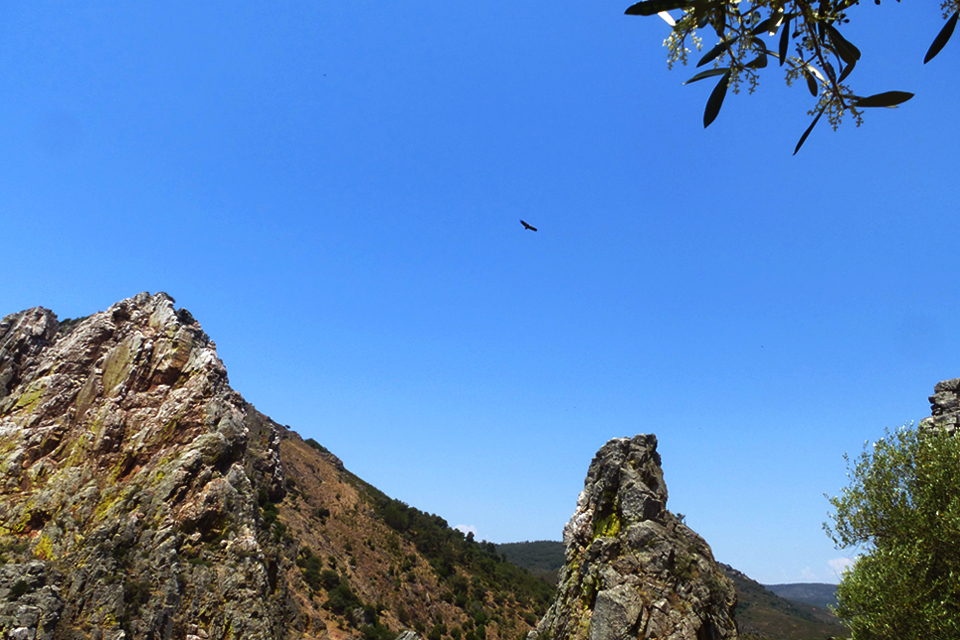 Monfragüe, Extremadura, Spanje