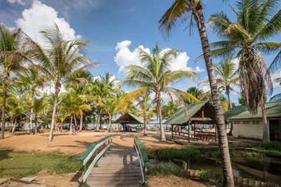 Overbridge River Resort in Overbridge Overbridge River Resort in Overbridge