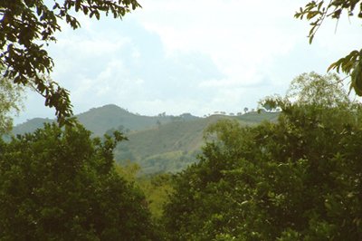 Canopy tour, Colombia Canopy tour, Colombia