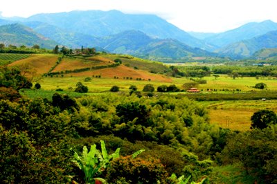 Koffieregio paardrijtocht, Colombia Koffieregio paardrijtocht, Colombia