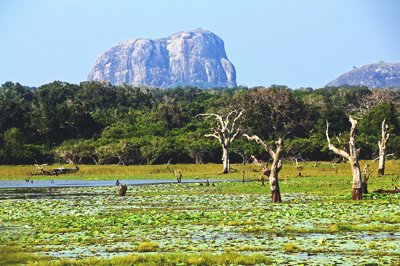 Tissamaharama Yala National Park, Sri Lanka Tissamaharama Yala National Park, Sri Lanka