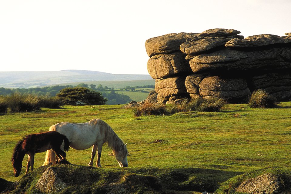 Dartmoor, Groot-Brittannië