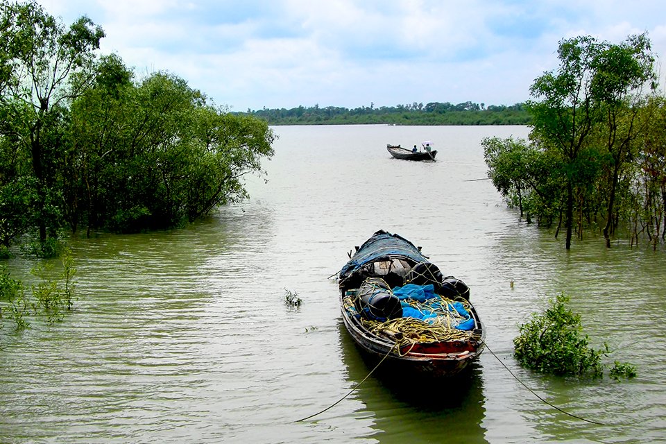 Sundarbans N.P., India