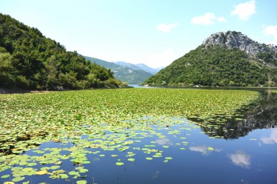Meer van Skadar, Montenegro Meer van Skadar, Montenegro