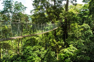 Taman Negara, Maleisië Taman Negara, Maleisië