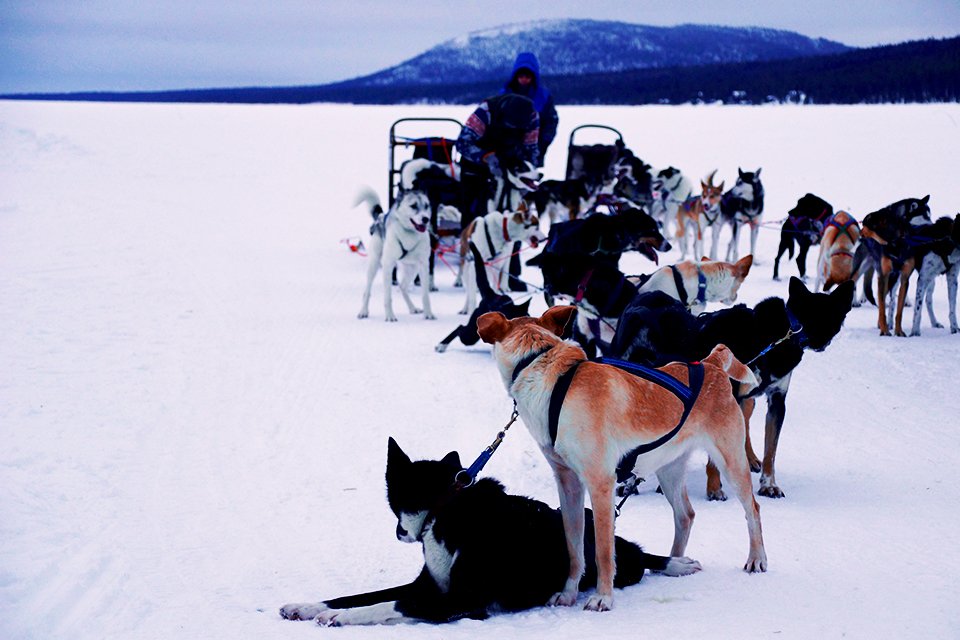 Winters Lapland