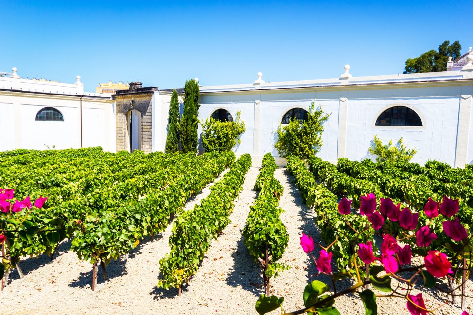 Jerez de la Frontera, Spanje