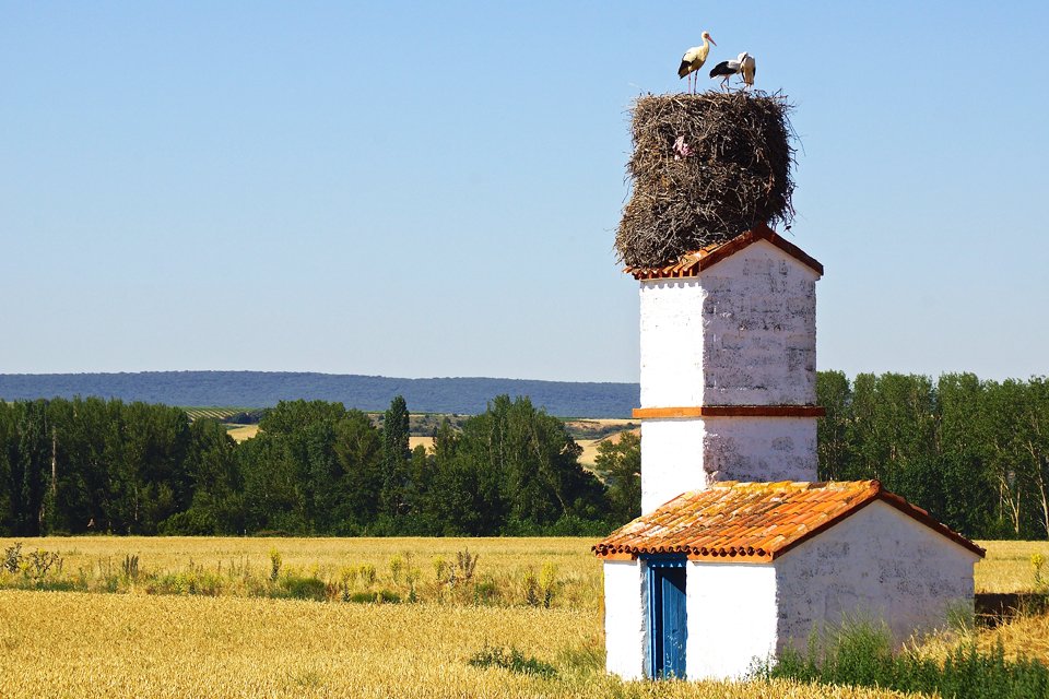 Noord-Spanje, Spanje