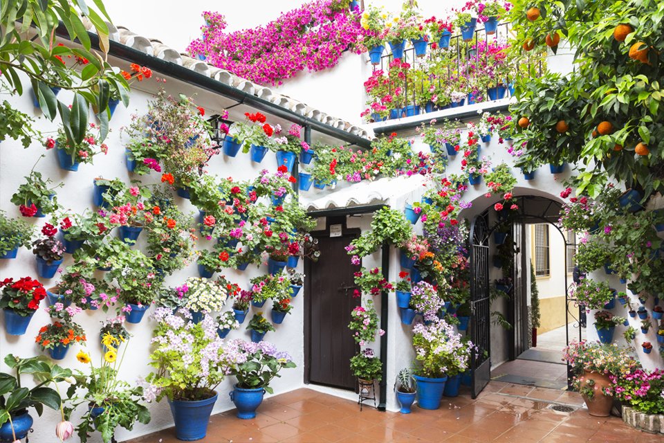 Patio met bloemen in Córdoba, Spanje