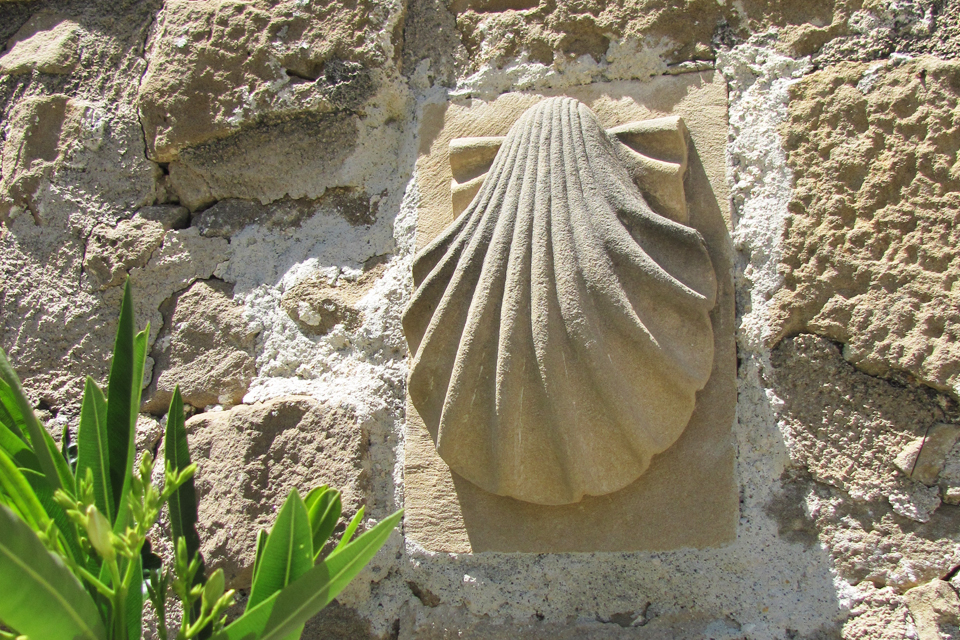 Jacobsschelp in Pamplona, Spanje