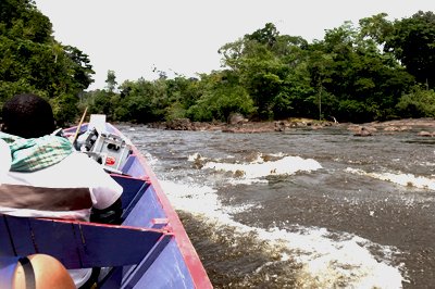 Boottocht over de Surinamerivier, Suriname Boottocht over de Surinamerivier, Suriname