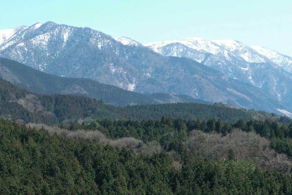 Ruïne en kersenbloesem, Japan