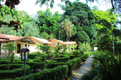 Bukit Lawang Cottages, Indonesië