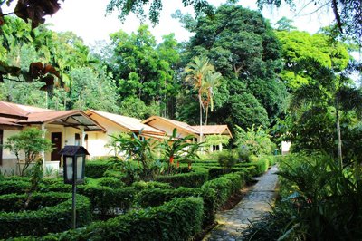 Bukit Lawang Cottages, Indonesië Bukit Lawang Cottages, Indonesië