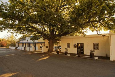 Roosje van de Kaap, Zuid-Afrika Roosje van de Kaap, Zuid-Afrika