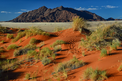 Kalahariwoestijn, Namibië