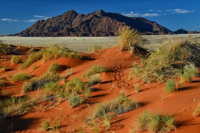 Kalahariwoestijn, Namibië Kalahariwoestijn, Namibië