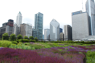 High Line park, New York
