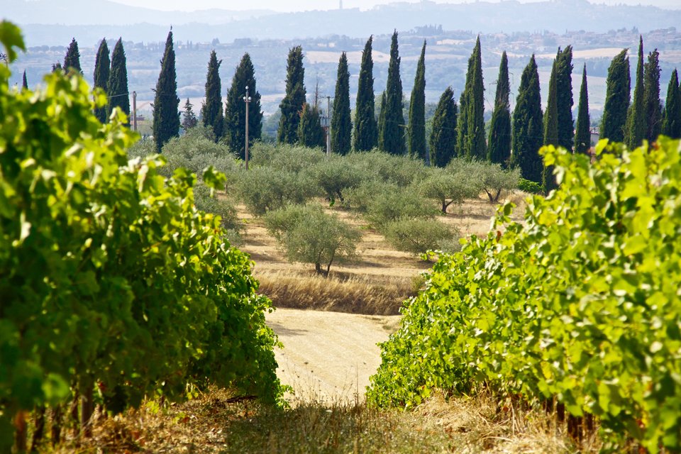 Landschap in Umbrië, Italië