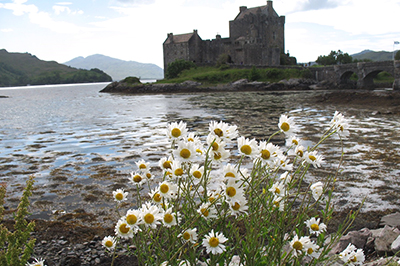 Stof opwaaien, Groot-Brittannië