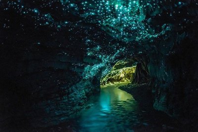 Glowworm Cave Waitomo, Nieuw-Zeeland Glowworm Cave Waitomo, Nieuw-Zeeland