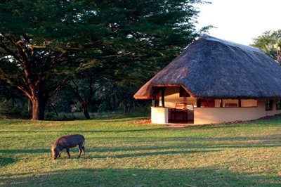 Lalapanzi Camp, Zuid-Afrika Lalapanzi Camp, Zuid-Afrika