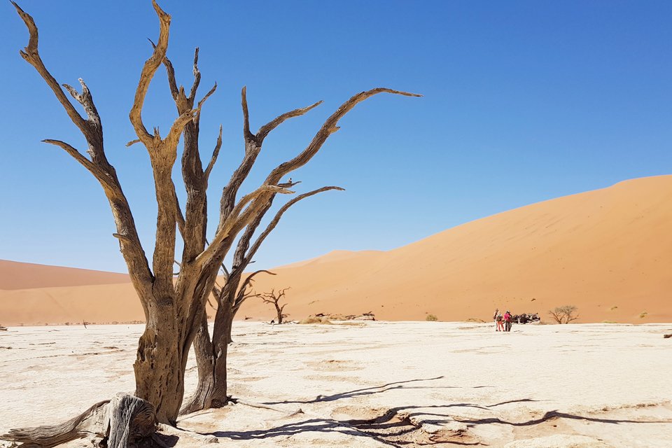 Sossusvlei, Namibië