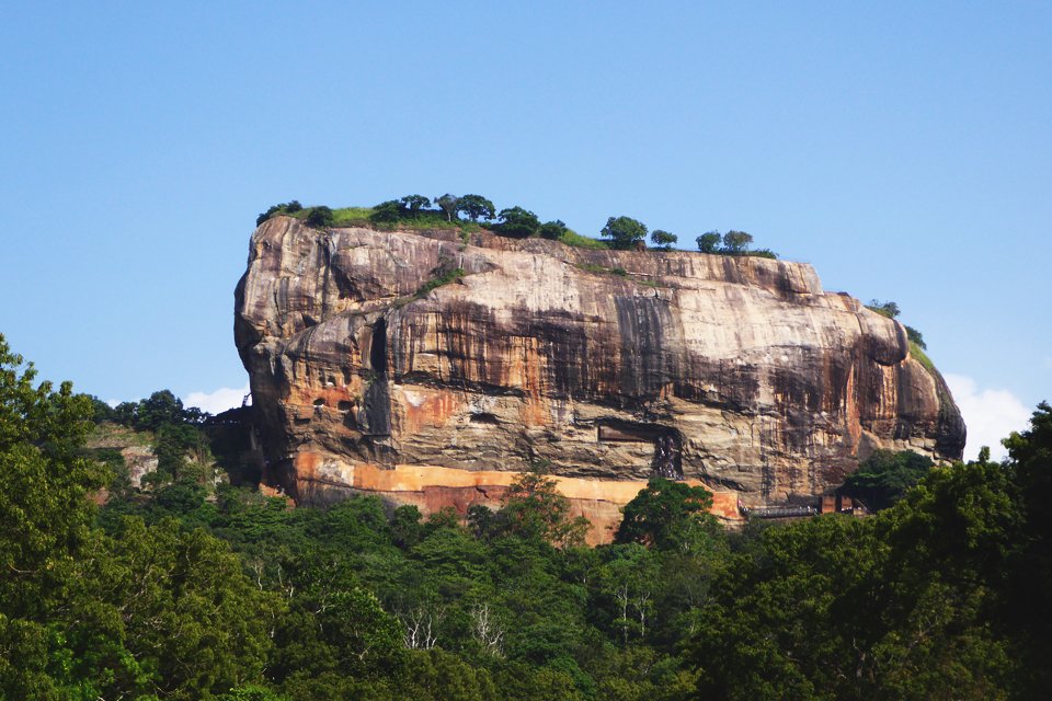 Leeuwenrots, Sri Lanka