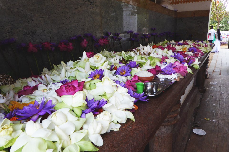 Bloemenpracht, Sri Lanka
