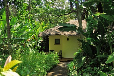 Moivaro Coffee Plantation Lodge, Tanzania