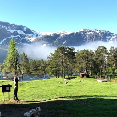 Overnachting bij een schapenboer in Viksdalen joyce-noorwegen-13.jpg