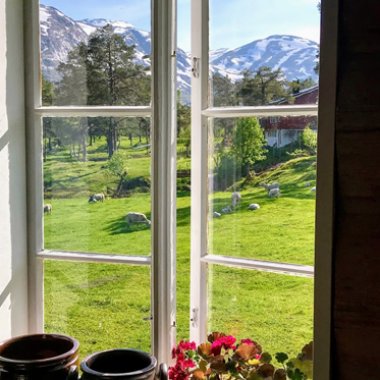 Overnachting bij een schapenboer in Viksdalen joyce-noorwegen-14.jpg