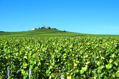 Champagnestreek rond Reims, Frankrijk