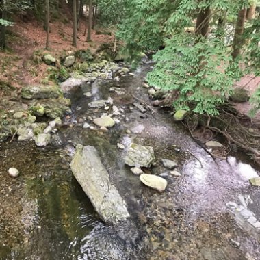 Tollymore Forest game-of-thrones-011.jpg