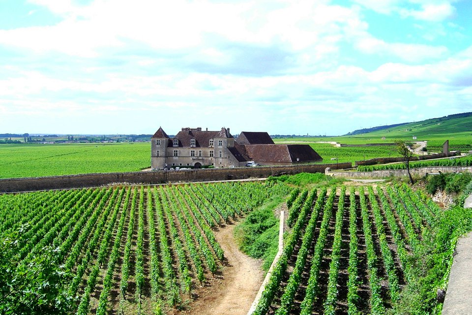 Clos de Veugeot