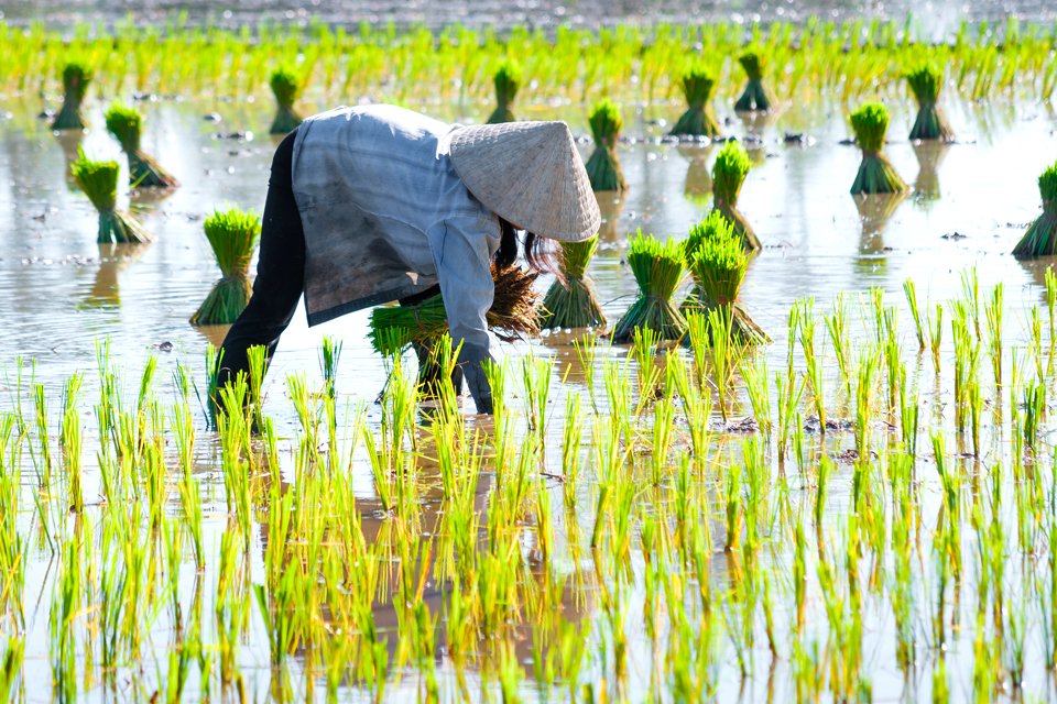 Vietnam en cambodja