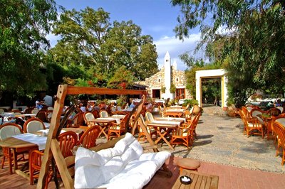Okaliptus Hotel Bodrum, Turkije Okaliptus Hotel Bodrum, Turkije