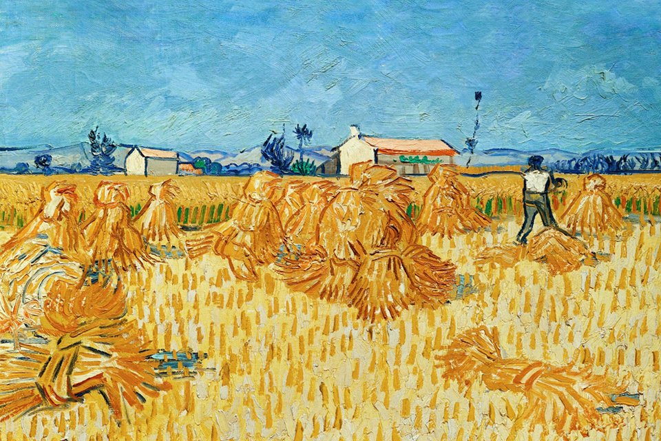 Graanoogst in de Provence van Vincent van Gogh